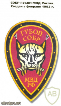 SOBR Rys' patch img51746