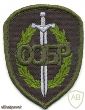 SOBR patch, subdued img51862