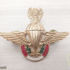 PERU Army - Master Parachutist wings img51955