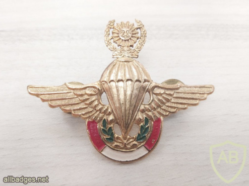 PERU Army - Master Parachutist wings img51955