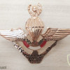 PERU Army - Master Freefall Parachutist wings img51957
