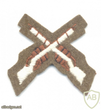 UNITED KINGDOM British Army - Qualified Tactics and Weapon Training Instructors / Rifle Marksman qualification cloth badge img51960