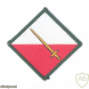 UNITED KINGDOM British Army - 42nd (North West) Infantry Brigade tactical recognition flash img51977