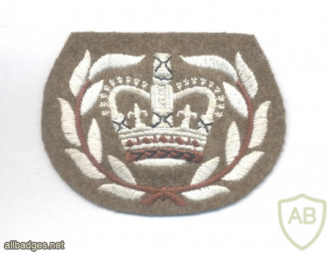 UNITED KINGDOM British Army - Warrant Officer Class 2 sleeve rank img51980