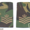 UNITED KINGDOM British Army - Staff Sergeant slip-on shoulder boards ranks, set
