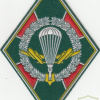 RUSSIAN FEDERATION Federal Border Guard Service - Airborne maneuver group sleeve patch img52180