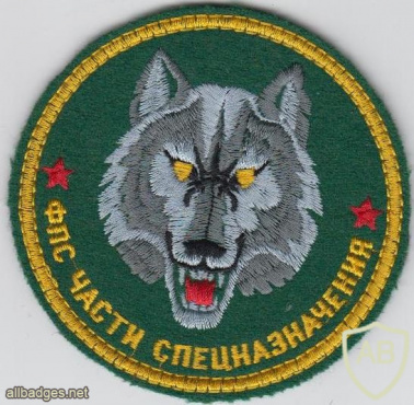 RUSSIAN FEDERATION Federal Border Guard Service Special Forces sleeve patch, 1993-2003 img52217