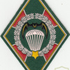 RUSSIAN FEDERATION Federal Border Guard Service - Special Recon separate group sleeve patch