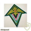 RUSSIAN FEDERATION Federal Border Guard Service - SF units patch