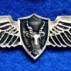 Unidentified badge- 34