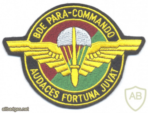 BELGIUM Army Para-Commando Brigade sleeve patch (1991-2003) img52606