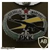 Kurdistan Workers' Party (PKK) - Service Pin img52623