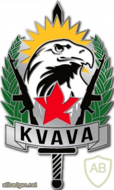 Kurdish Veterans and Volunteers Association (KVAVA) - Service Pin img52631
