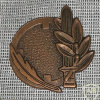 Graduate of the College of Tactical Command - Bronze
