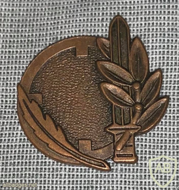 Graduate of the College of Tactical Command - Bronze img52687