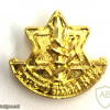 Badge representing soldiers and officers abroad - Golden