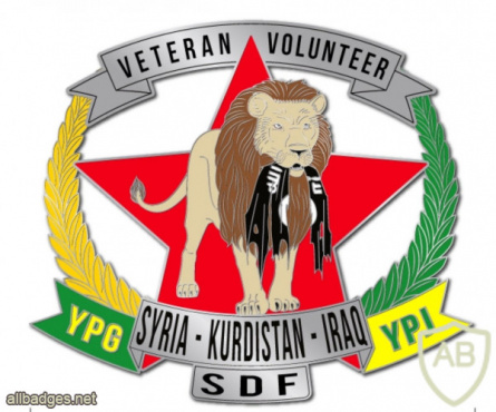 Service Badge - Foreign volunteers and veterans of the YPG & YPJ img52769