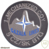 NATO - KFOR - 1st Mechanized Company, 5th Czech Slovak Battlegroup sleeve patch