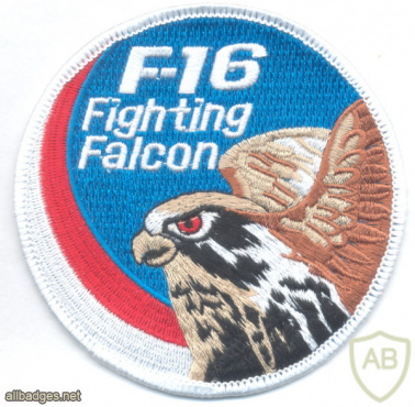 INDONESIA - Indonesian Air Force F-16 "Fighting Falcon" pilot sleeve swirl patch img52813