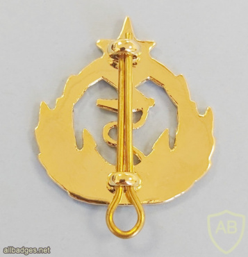 GHANA Navy ( GN ) cap badge img52830