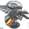 Belgium Special Forces chest badge, 2nd type