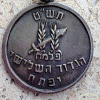 Palmach Yiftach Brigade War of Independence img52851