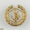 Navy officer breast badge- 1948 Type- 2 img52897