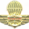 BRUNEI Armed Forces Basic Static Line Parachutist wings