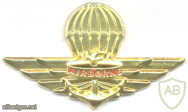 BRUNEI Armed Forces Basic Static Line Parachutist wings img52949