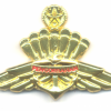 BRUNEI Armed Forces Senior Freefall Parachutist wings, mess dress img52952