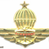 BRUNEI Armed Forces Senior Static Line Parachutist wings img52950