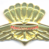 BRUNEI Armed Forces Basic Freefall Parachutist wings