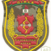 Belarus Pinsk border detachment of the border service patch