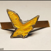 Golden Eagle Squadron - 140th Squadron img53248