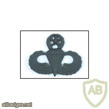 Army Parachutist Badge - Master img53285
