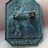 Aliyah Bet Badge img53264
