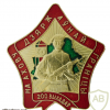 Belarus Border Service "200 exits to guard the state border" badge