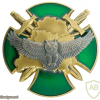Belarus Border Reconnaissance Unit Badge