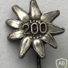 Germany - Army - Gebirgsjäger 200 pin img53624