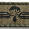 Switzerland - Air Force - Parachute Reconnaissance qualification badge