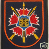 GRU Spetsnaz - 10th Special Purpose Brigade