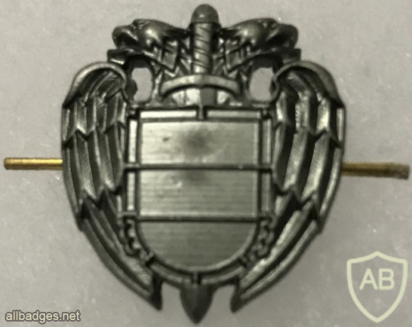 Russia - FSO - Collar Badge img53527