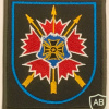 Russia - GRU Spetsnaz - 10th Special Purpose Brigade