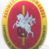 PORTUGAL Army - Transport and Resupply Company, Headquarters and Support Battalion, Commando Regiment pocket badge img53718
