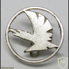 The Phoenix Squadron ( Arava Guard Squadron ) - 144th Squadron