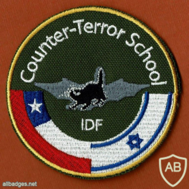 אימון משותף עם צבא צ'ילה בבית ספר ללוחמה בטרור img53775