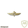 Parachute wings - 50 parachutes - Golden