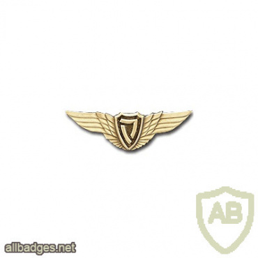 Pilot wings and link ( Light Squadron ) img54000