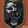 Generic icon Squadron- 123 UH60 Owl