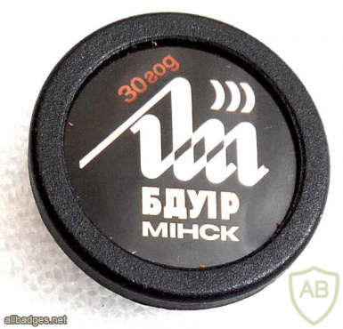 Minsk Radio technical institute 30 years pin img54156
